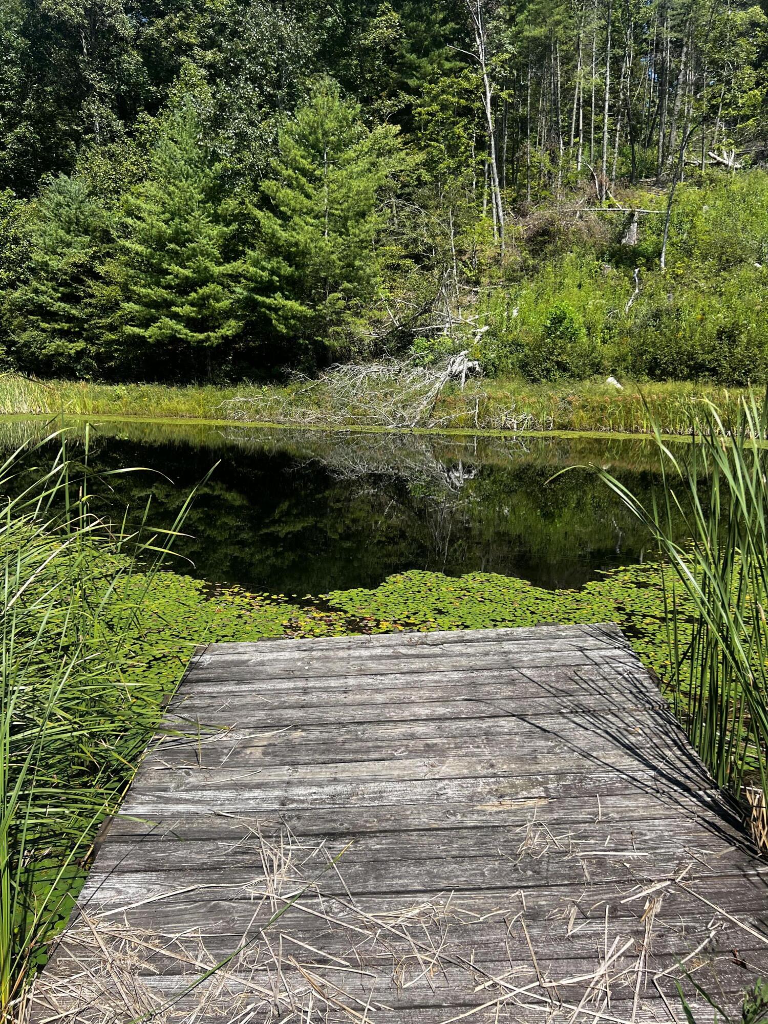 Pond close