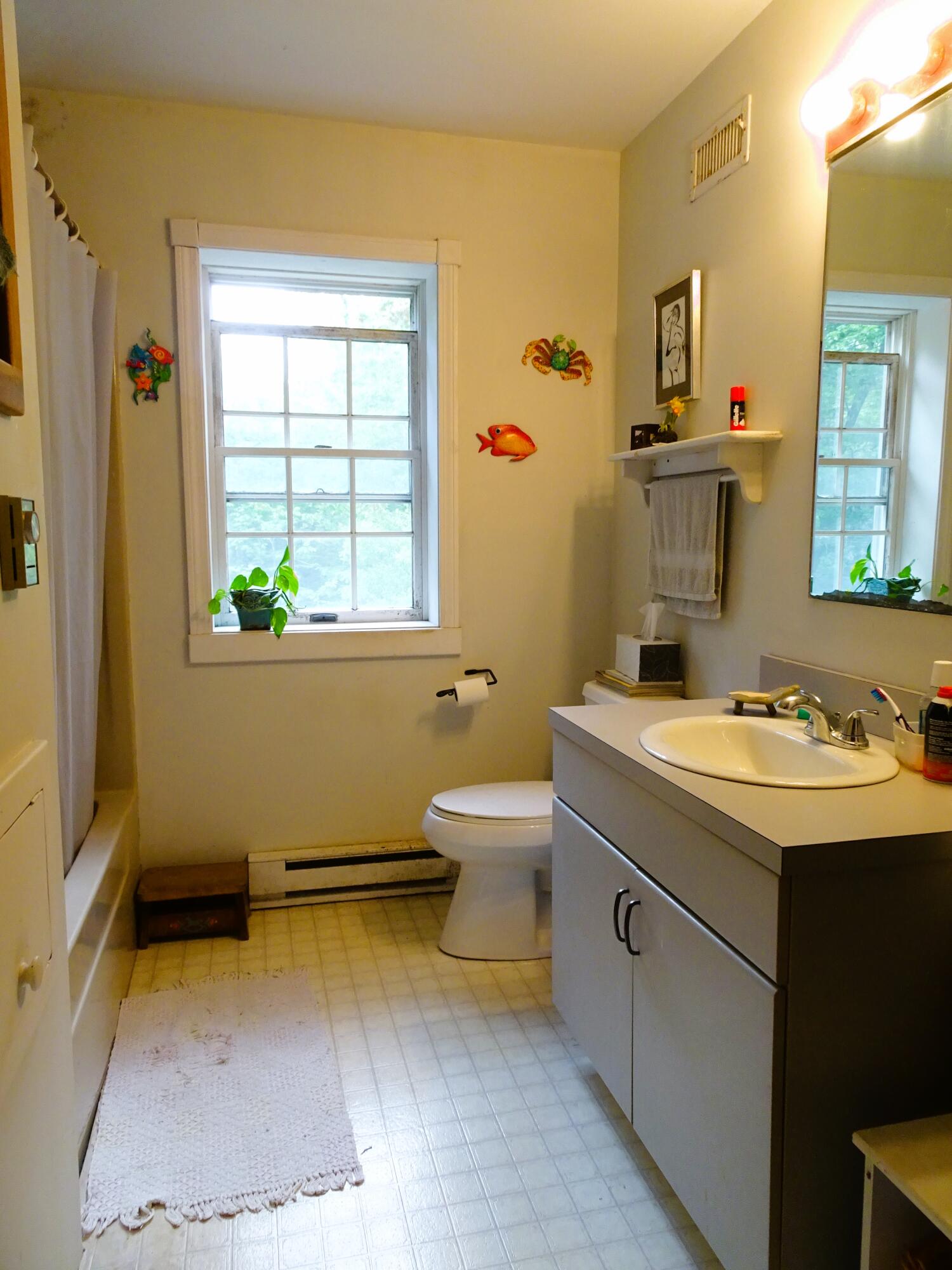 284 Webbs Mills Road Raymond, ME 04071 - Photo 19 of 33 Full bath DSC06348