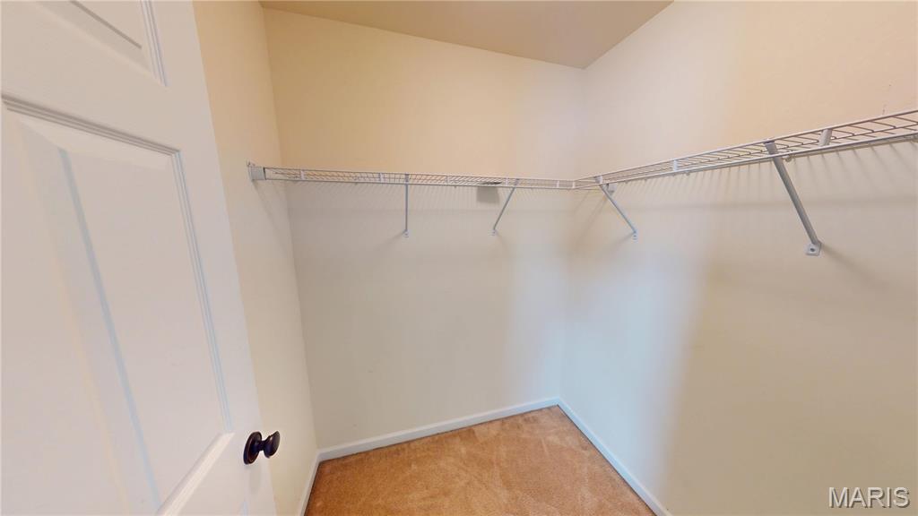 116 Chestnut Grove Circle Belleville, IL 62221 - Photo 38 of 48 Gallery Image 38