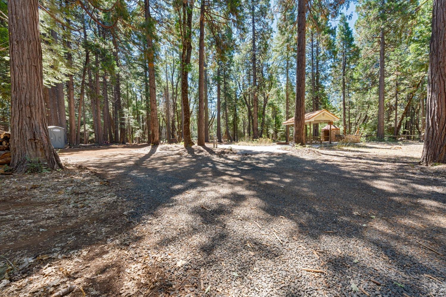 740 Hideaway Loop Alta, CA 95701 - Photo 45 of 74 a backyard of a house with lots of green space