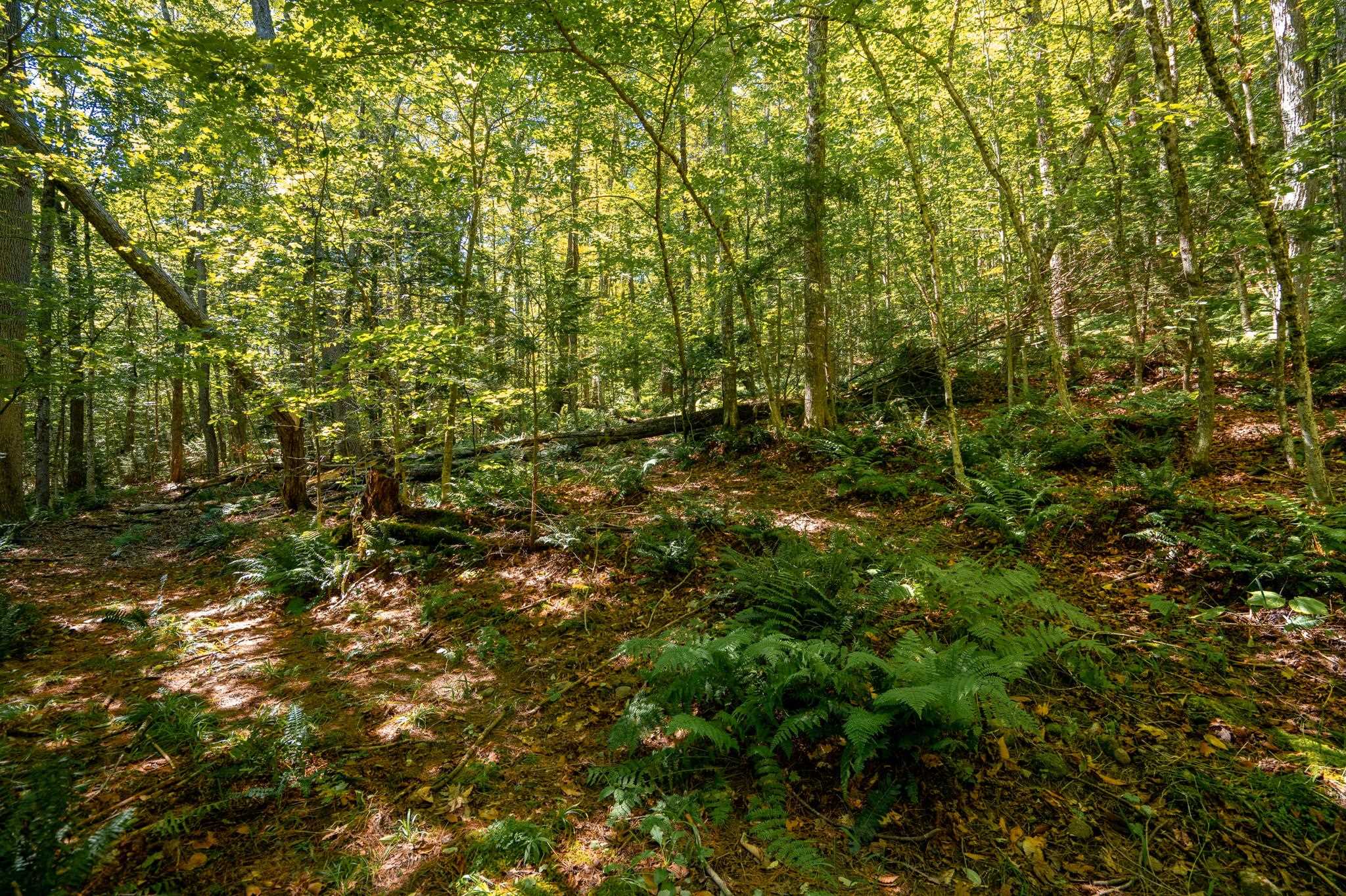 0 Turtle Rock Road Stoddard, NH 03464 - Photo 1 of 12 Gallery Image 1