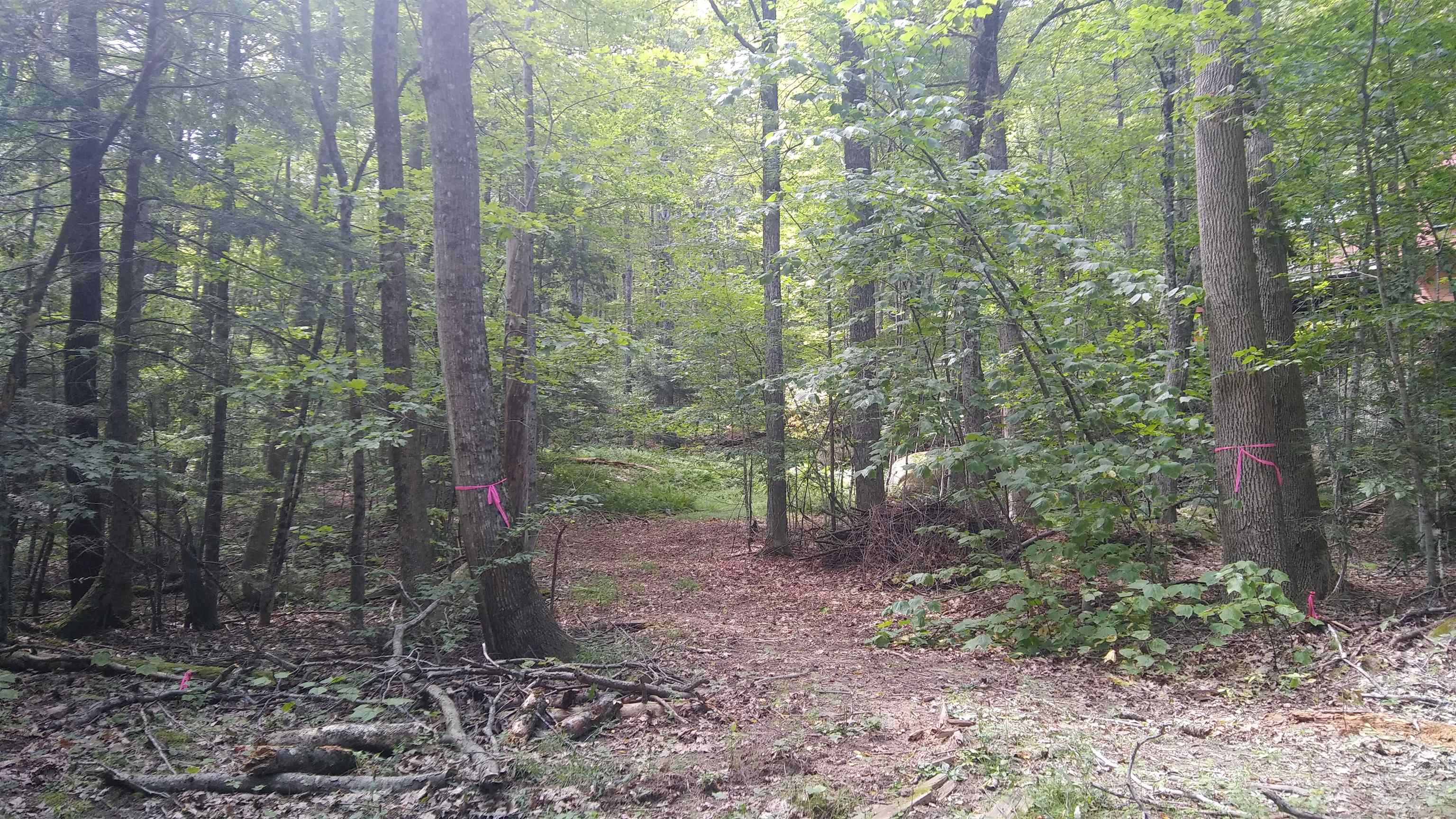 0 Turtle Rock Road Stoddard, NH 03464 - Photo 3 of 12 Gallery Image 3