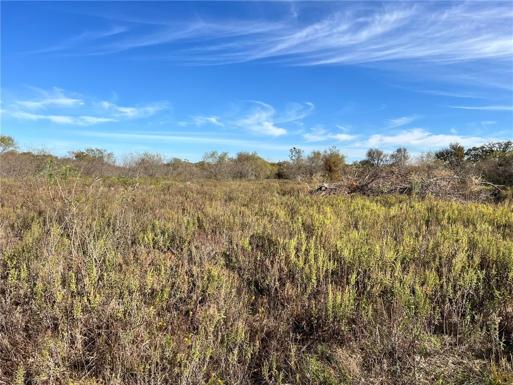 Tbd Wesley Chapel Road Waco, TX 76705 - Photo 8 of 15