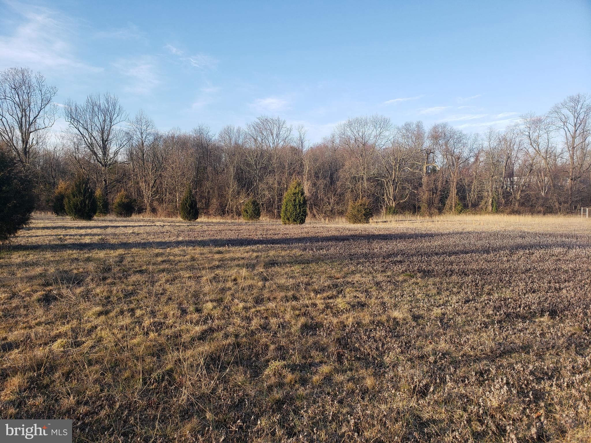2.03 0 Ogden Road Swedesboro, NJ 08085 - Photo 3 of 4 Gallery Image 3