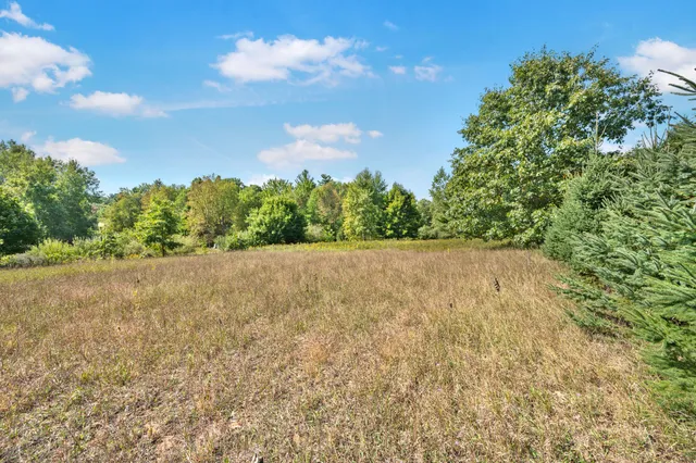 $23,000 | Lot 3 University Club Drive, Big Rapids, MI 49307
