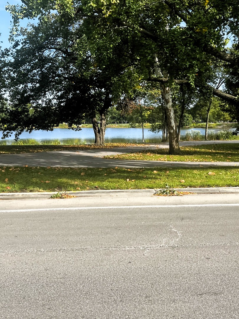 3257 West Warren Boulevard, Unit 2 Chicago, IL 60624 - Photo 2 of 2 a view of a swimming pool with a garden and trees