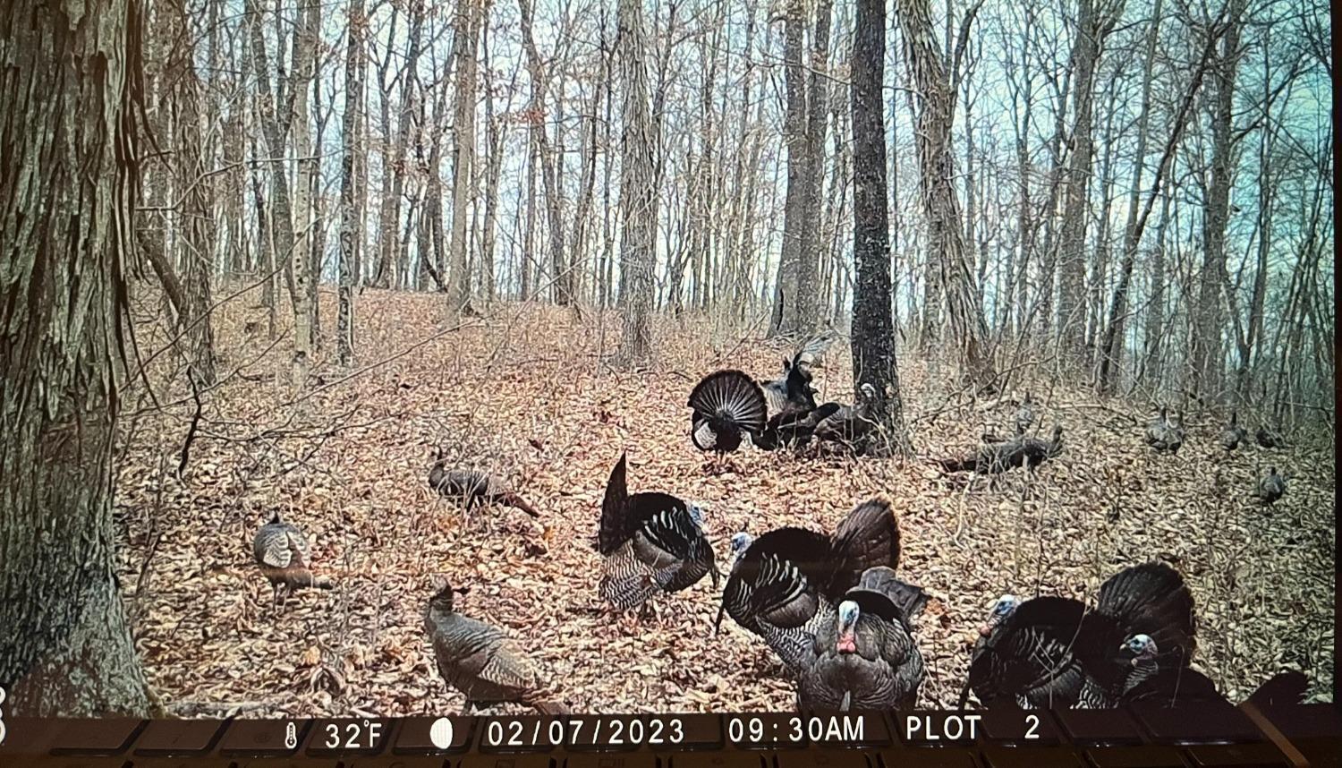 0 Us Rt 50 Bainbridge, OH 45612 - Photo 11 of 29 11