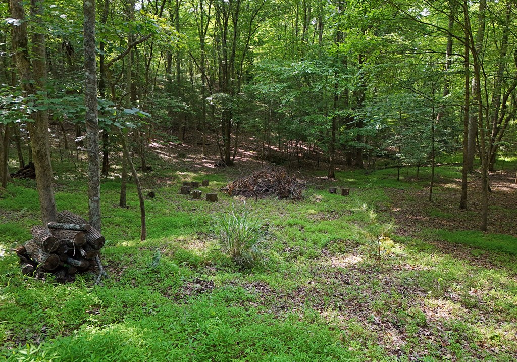 713 Blue Ridge Trail Morganton, GA 30560 - Photo 11 of 62 Gallery Image 11