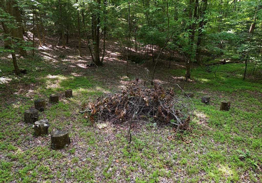 713 Blue Ridge Trail Morganton, GA 30560 - Photo 12 of 62 Gallery Image 12