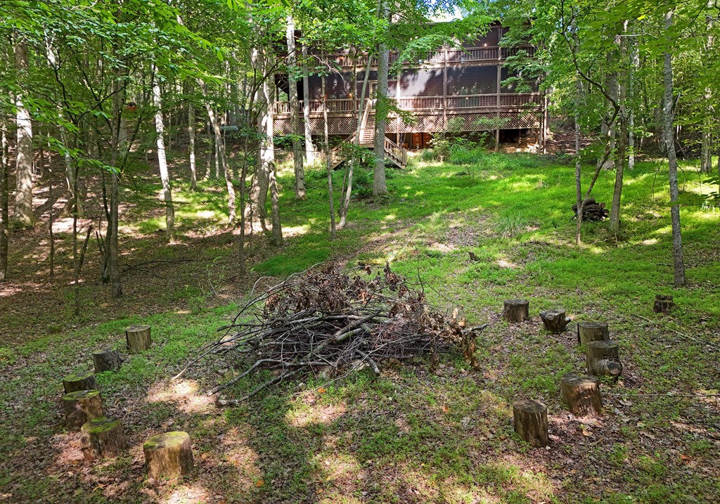 713 Blue Ridge Trail Morganton, GA 30560 - Photo 13 of 62 Gallery Image 13