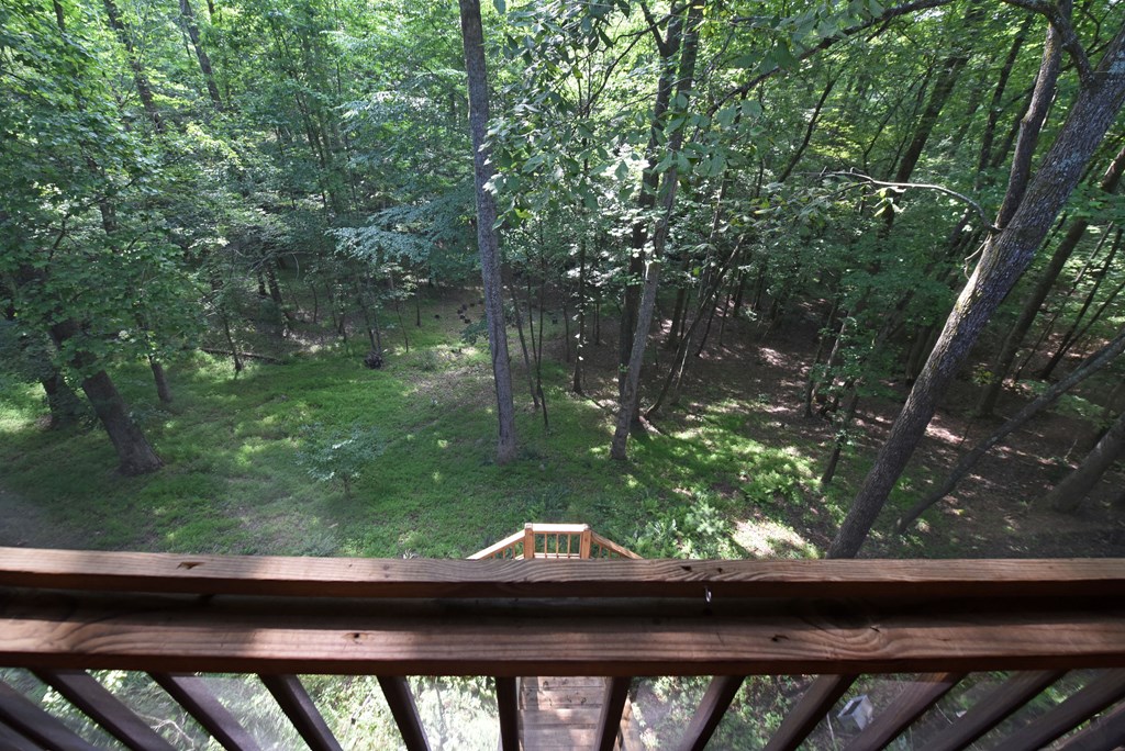 713 Blue Ridge Trail Morganton, GA 30560 - Photo 24 of 62 Gallery Image 24