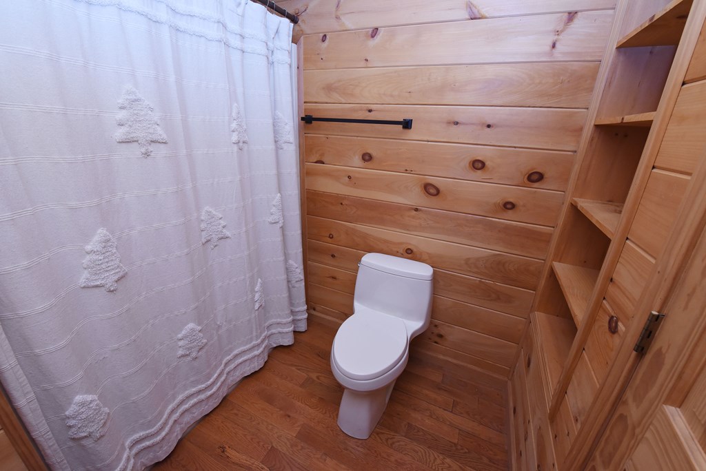 713 Blue Ridge Trail Morganton, GA 30560 - Photo 41 of 62 Gallery Image 41