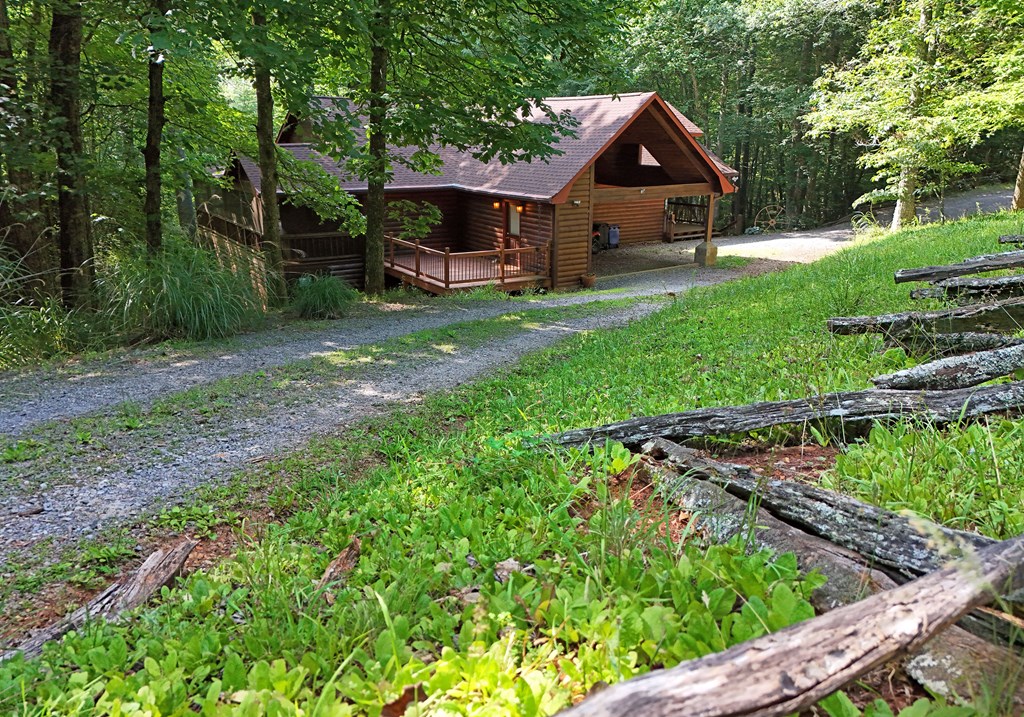 713 Blue Ridge Trail Morganton, GA 30560 - Photo 6 of 62 Gallery Image 6