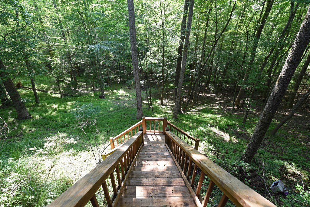 713 Blue Ridge Trail Morganton, GA 30560 - Photo 61 of 62 Gallery Image 61