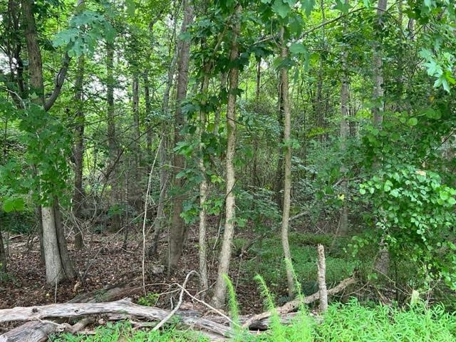 520 A Moore Perkerson Road Spring Hope, NC 27882 - Photo 1 of 7 Future Easement Acess