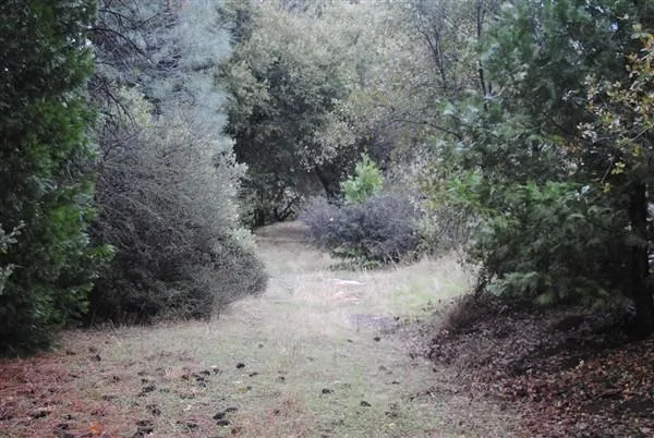 $310,000 | 18875 Ponderosa Annex Road, Sutter Creek, CA 95685