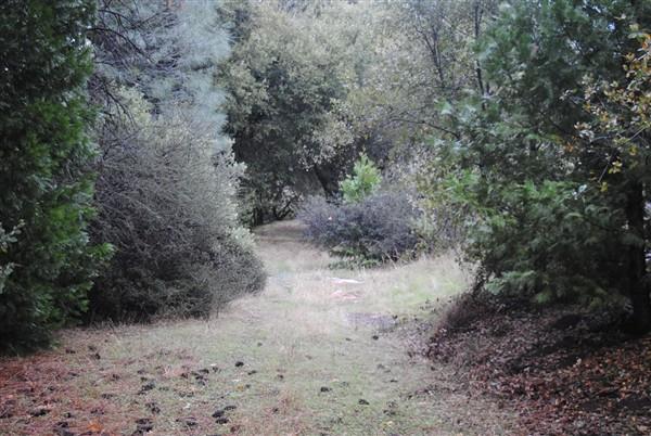 18875 Ponderosa Annex Road Sutter Creek, CA 95685 - Photo 13 of 16