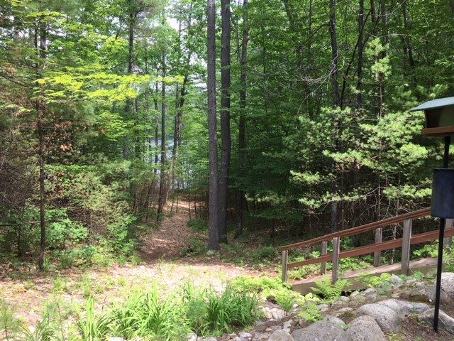 270 Raccoon Road Acton, ME 04001 - Photo 5 of 40 Gallery Image 5