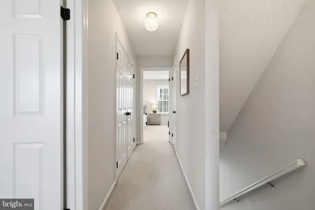 a bathroom with a sink a mirror and a potted plant