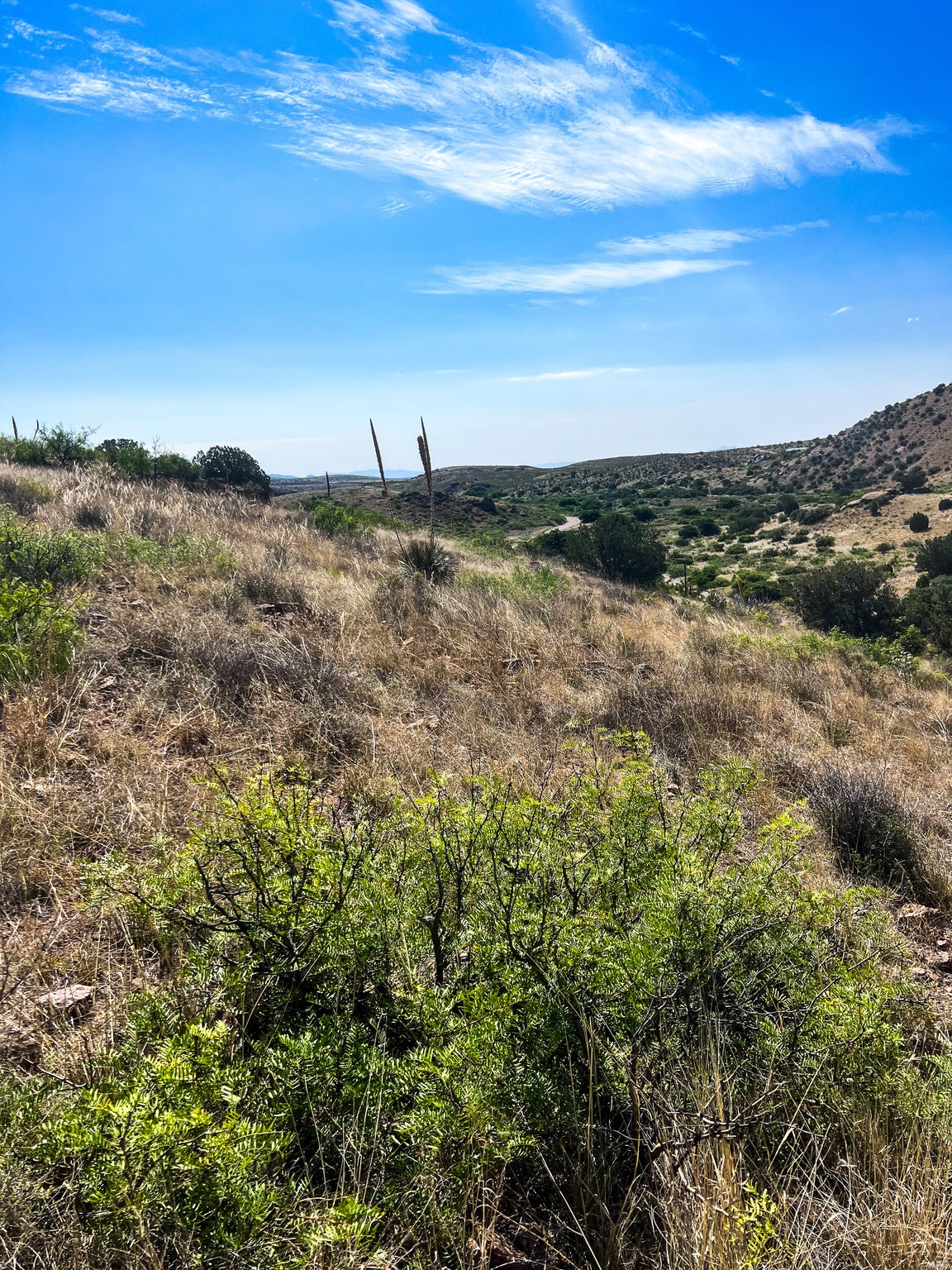 81 Berrenda Road Hillsboro, NM 88042 - Photo 18 of 52 Gallery Image 18