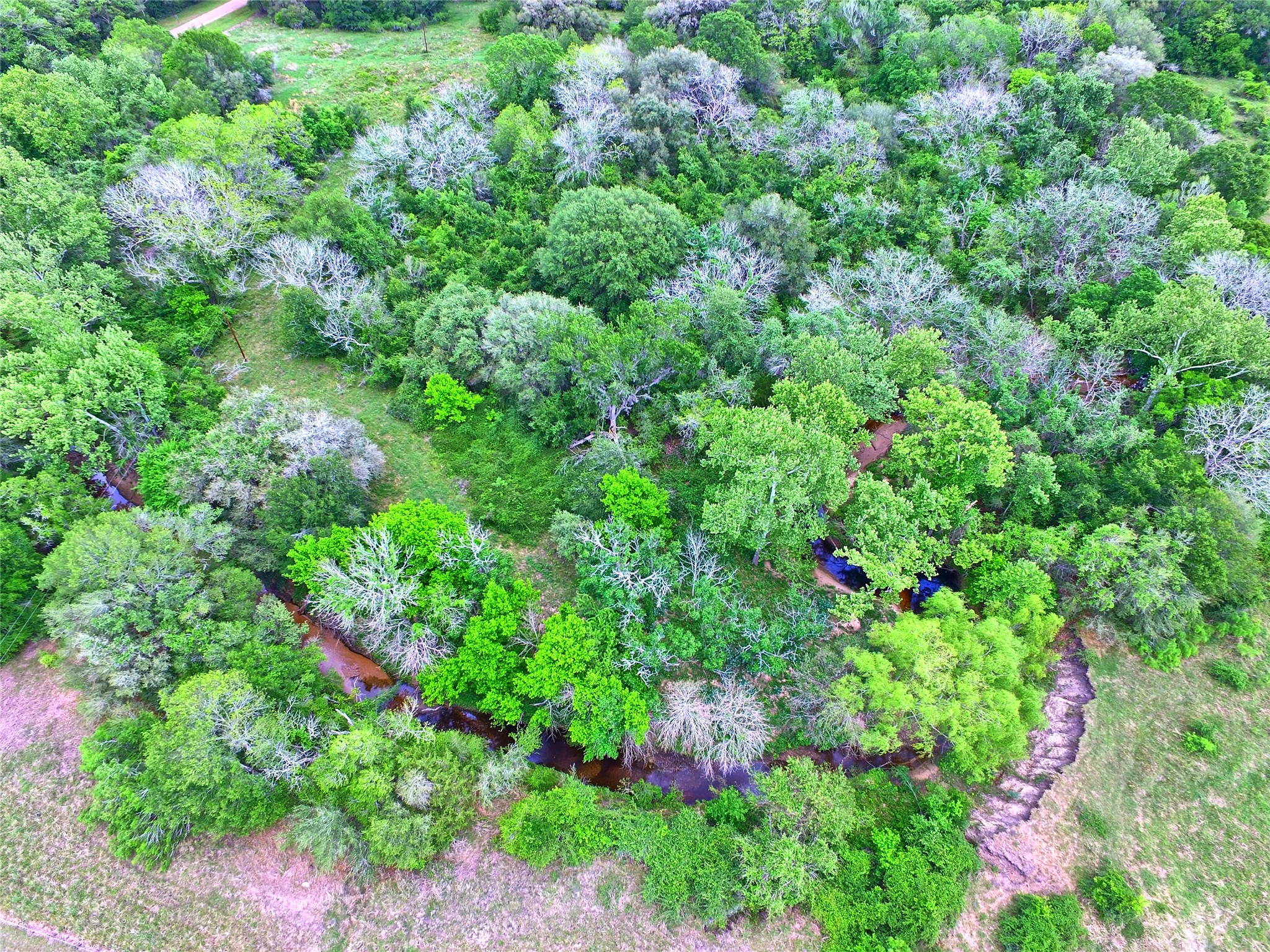 Tbd Harmony Road Weimar, TX 78962 - Photo 2 of 28