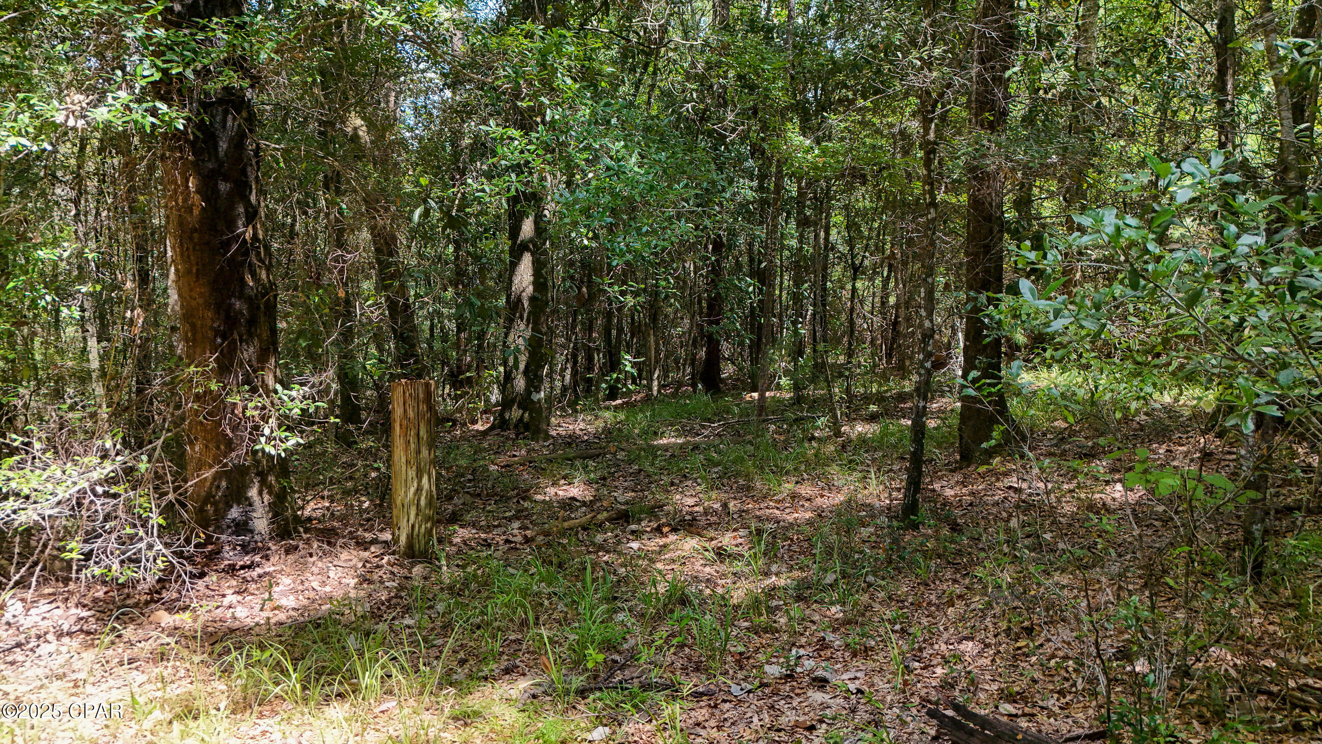1730 Firetower Road Chipley, FL 32428 - Photo 38 of 49