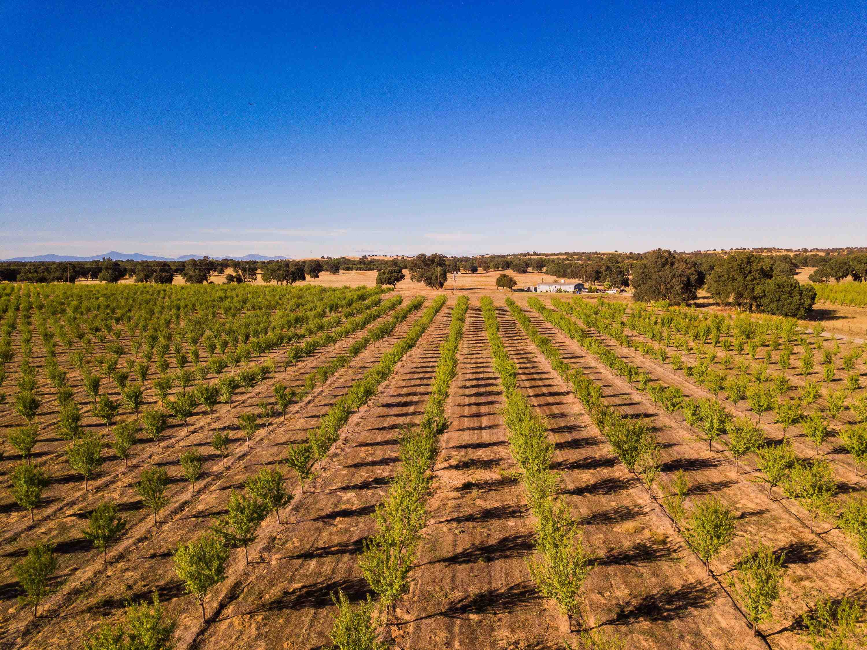 10370 Briggs Road Red Bluff, CA 96080 - Photo 5 of 14 Gallery Image 5