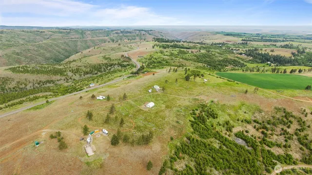 a view of a green field with lots of bushes