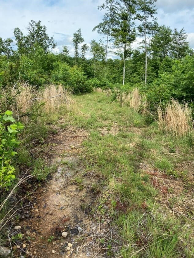 7950 Public Road Somerset, KY 42503 - Photo 14 of 29 15