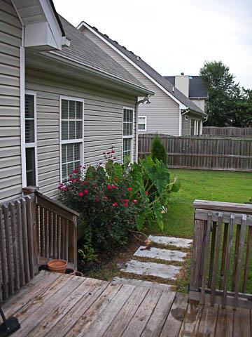 1436 Ripken Court Murfreesboro, TN 37129 - Photo 17 of 18 Beautiful landscaping throughout.
