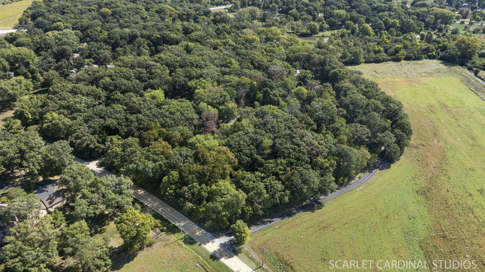 0 Finley Road Sugar Grove, IL 60554 - Photo 2 of 11 a view of a lot of trees and bushes