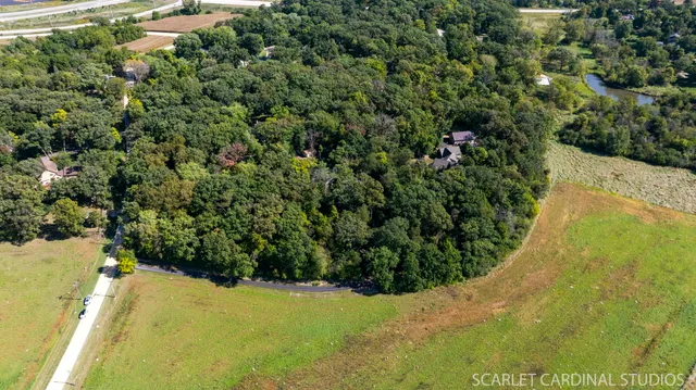 a view of a plant in a garden