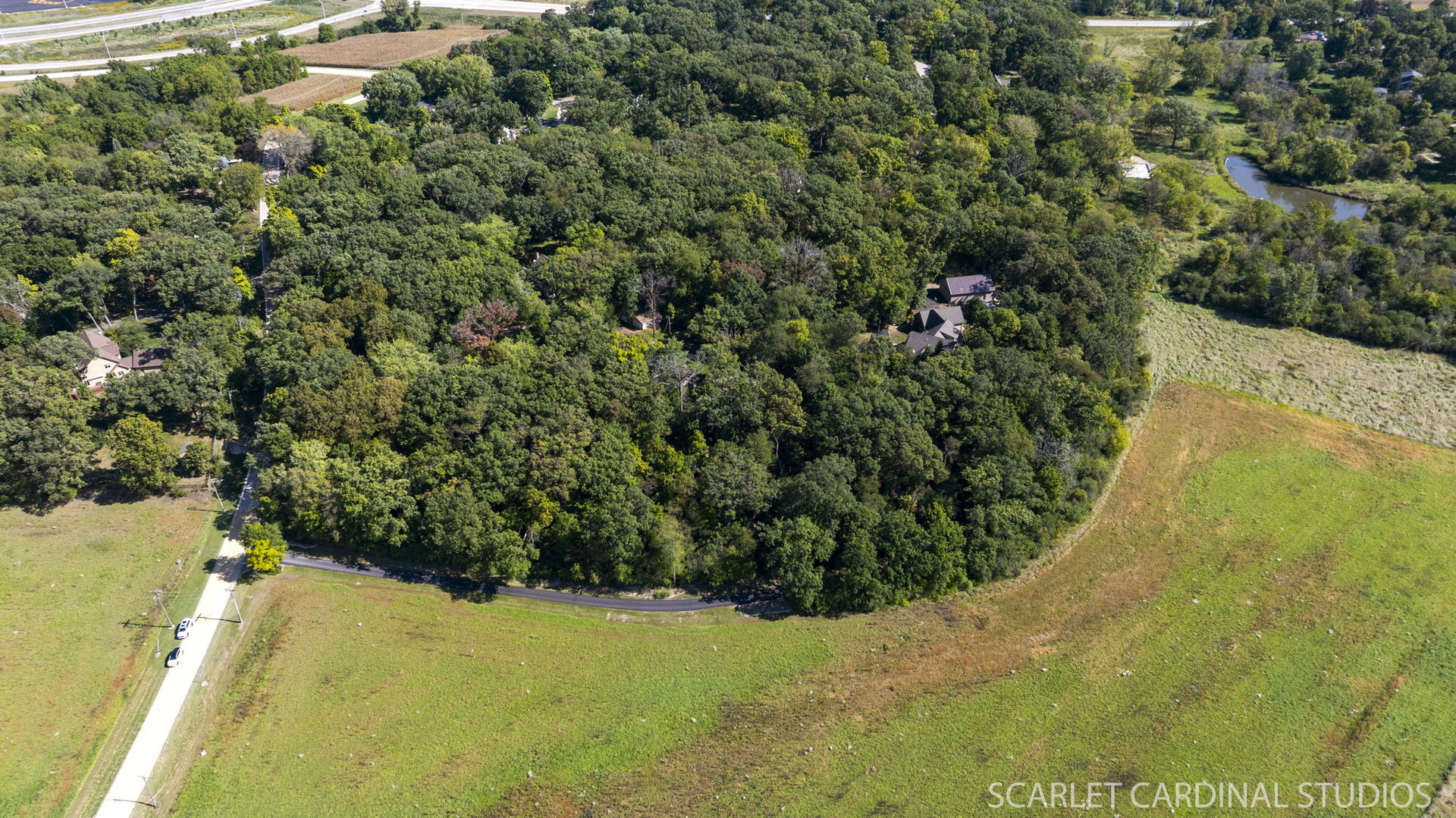 0 Finley Road Sugar Grove, IL 60554 - Photo 5 of 11 a view of a plant in a garden