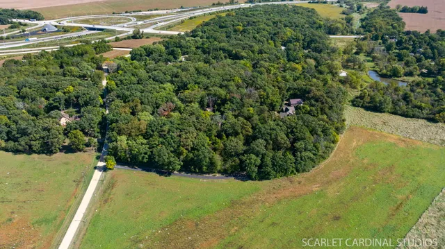 a view of a yard in a garden