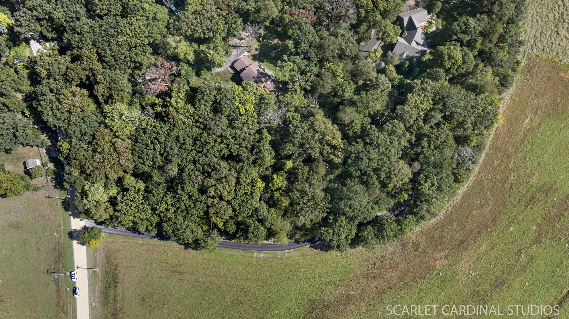 0 Finley Road Sugar Grove, IL 60554 - Photo 8 of 11 a view of a plant in a garden