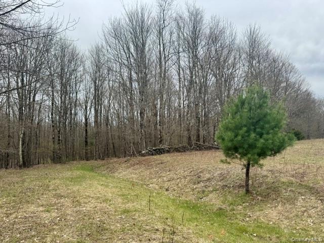 Lot 4 Shaver Hill Road Meridale, NY 13806 - Photo 41 of 45 Gallery Image 41