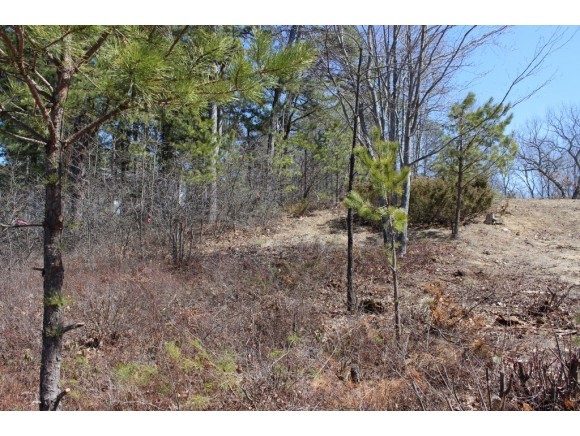 75 Broad Bay Road Ossipee, NH 03814 - Photo 13 of 19