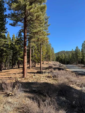 $19,000 | 78 South Ridge Road, Portola, CA 96122
