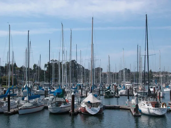 $1,540,000 | 152 Frederick Street, Santa Cruz, CA 95062