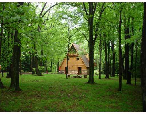 1590 County Line Road Champion, PA 15622 - Photo 18 of 18 Land. Almost 1 Level Private Acre. Come up to the Mountains & Enjoy!!!
