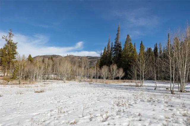 a view of a lake with a mountain and trees