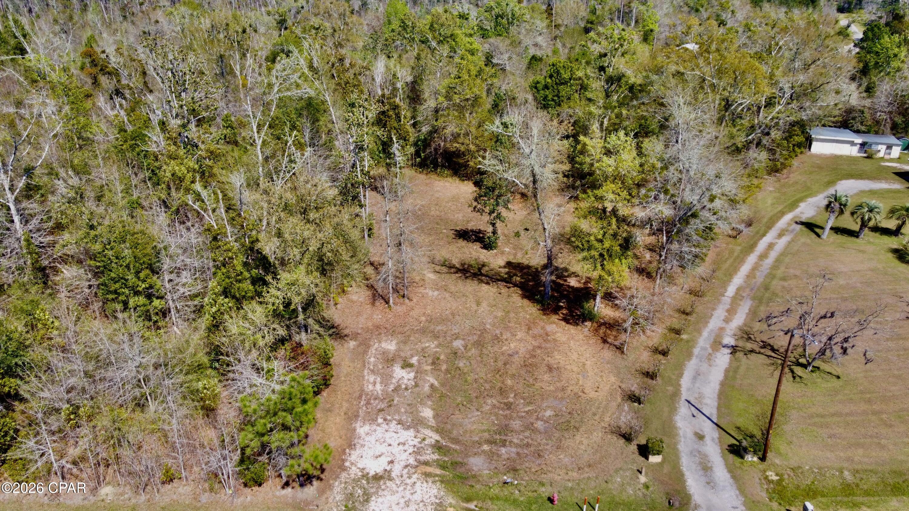 703 West River Road Wewahitchka, FL 32465 - Photo 9 of 10
