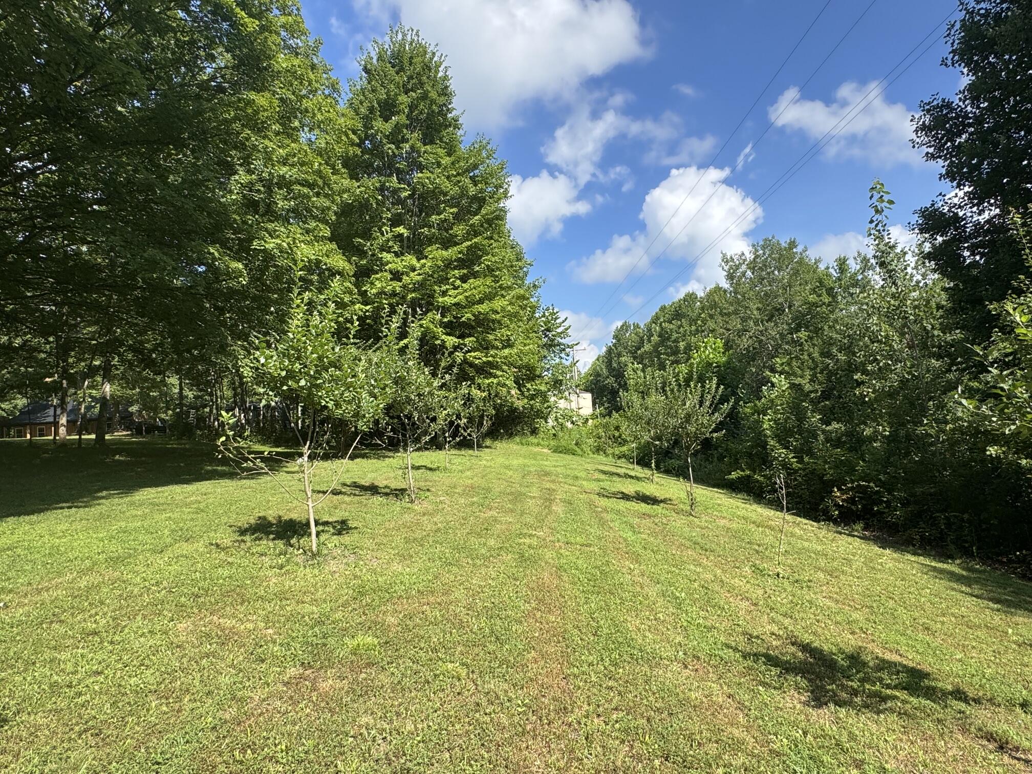 378 Shugars Hill Road Liberty, KY 42539 - Photo 31 of 33 IMG_0636