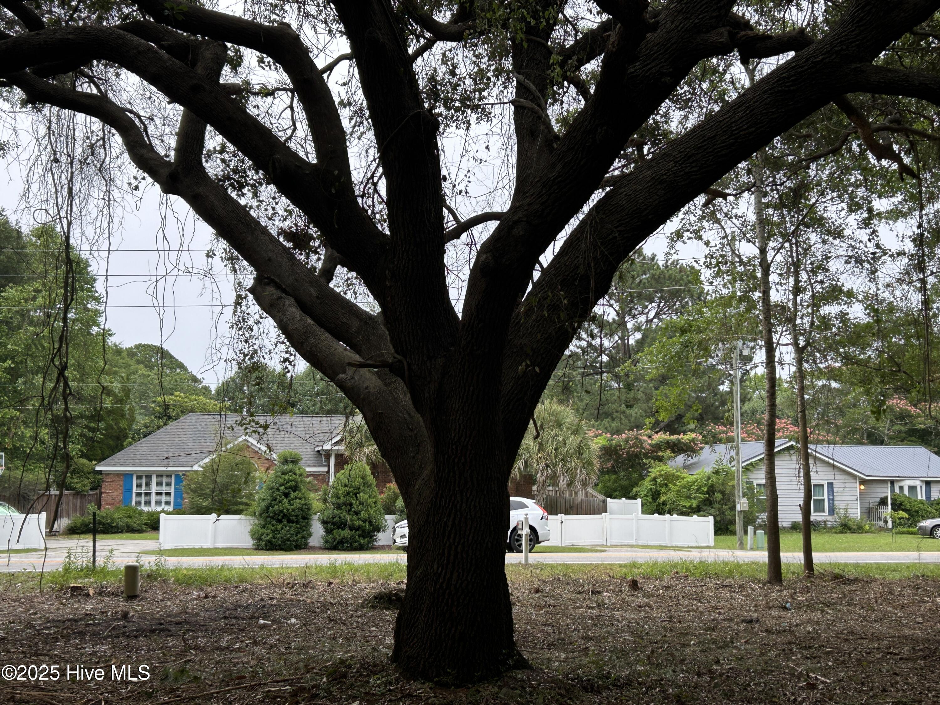 1128-2 Beasley Road Wilmington, NC 28409 - Photo 10 of 14 IMG_6149