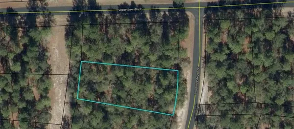$38,000 | Lot 618 Coopers Landing Drive Northeast, Townsend, GA 31331