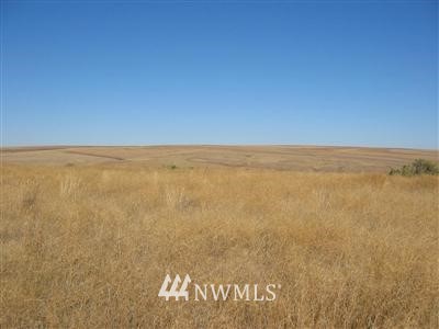 -nna Jantz Road Lind, WA 99341 - Photo 1 of 1