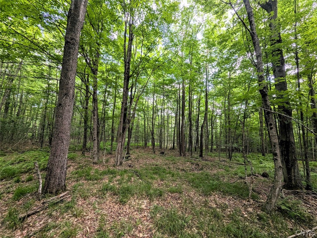 537 Maple Road West Union, NY 14877 - Photo 42 of 50