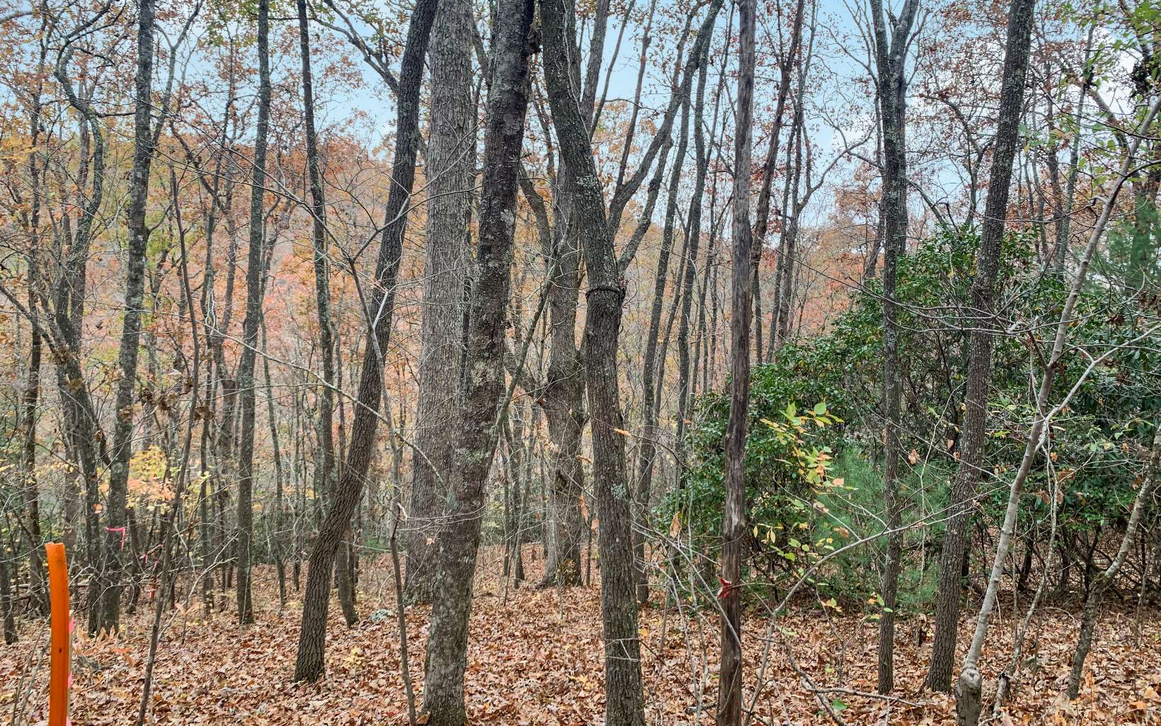 21-22 Creekridge Road Blue Ridge, GA 30513 - Photo 5 of 17 Additional View