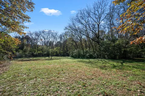 a view of outdoor space with trees all around