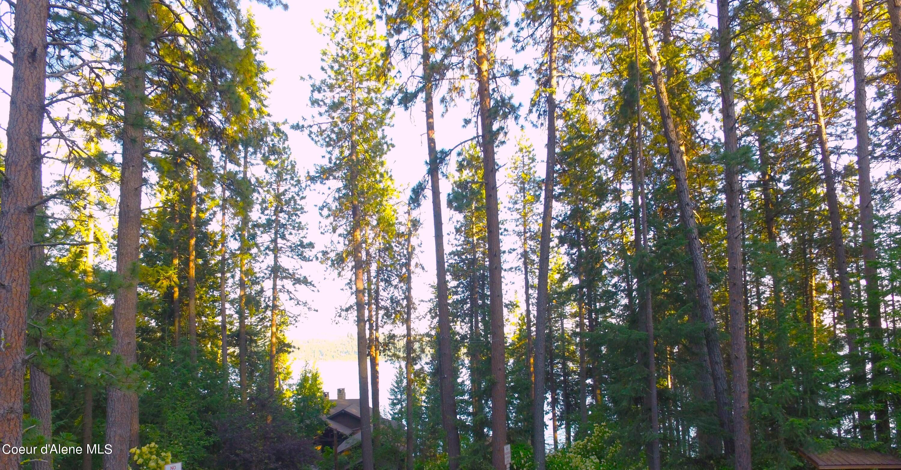 1751 West Valhalla Road Coeur D'Alene, ID 83814 - Photo 6 of 6 DJI_0025